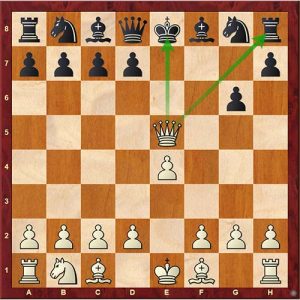 25 Chess Tactics All Players Must Know - TheChessWorld